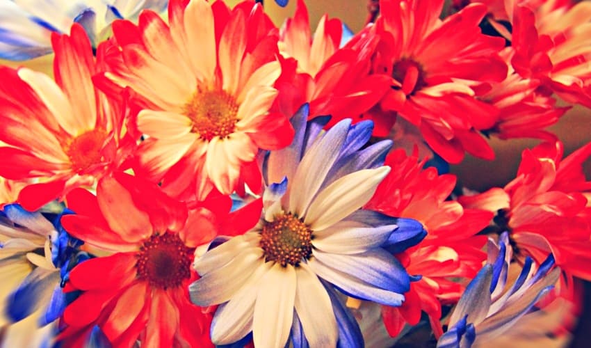 Как «не облажаться» при выборе букета цветов для девушки? 7 простых правил…